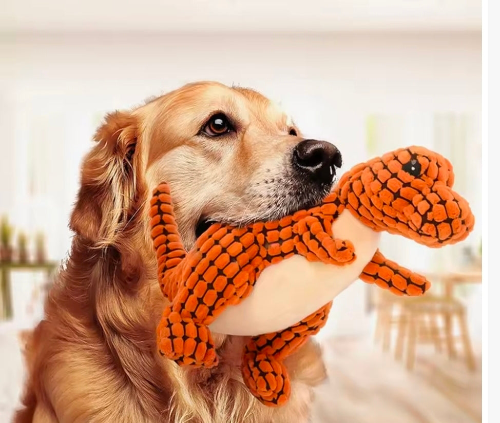 Pet Essentials