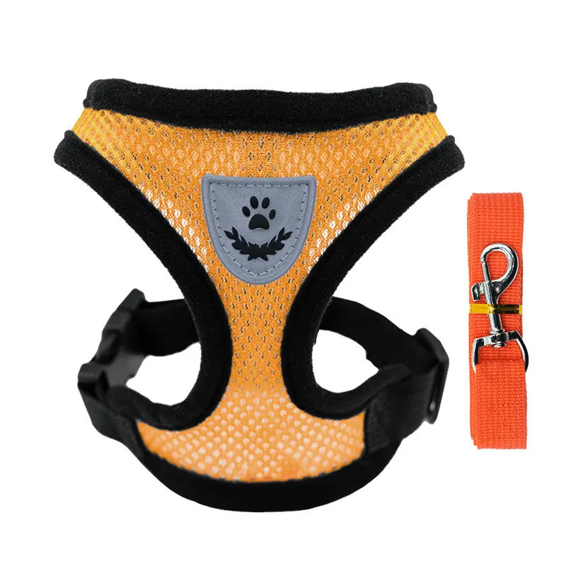 Breathable Mesh Pet Harness & Leash Set for Small Dogs and Cats