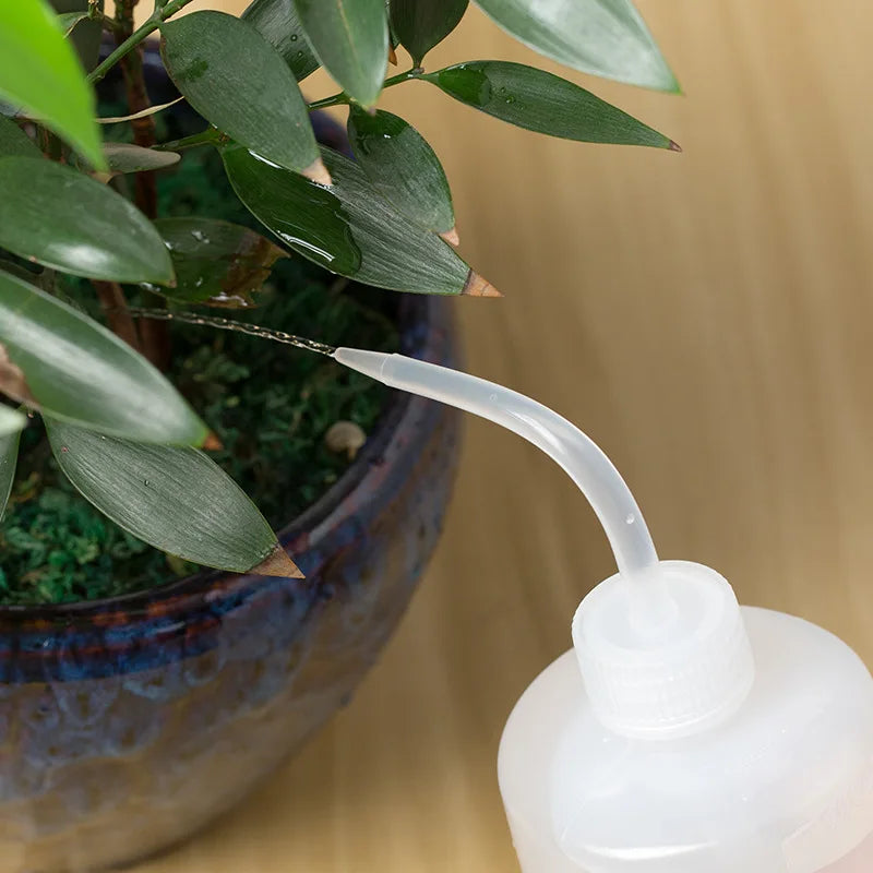 500ml Precision Squeeze Watering Bottle – Narrow-Spout Plant Waterer