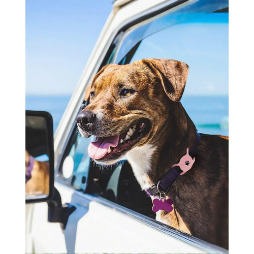 AirTag Dog & Cat Collar Holder – Silicone Full Body Protective