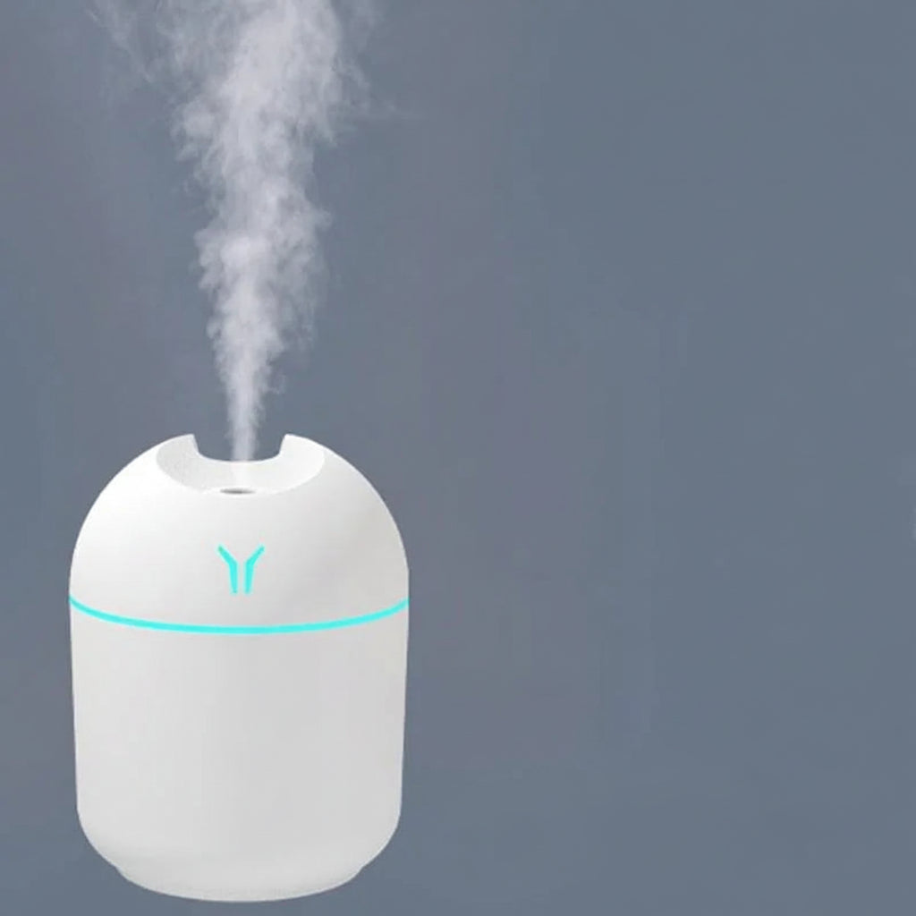 250ml USB Mini Cool Mist Humidifier with LED Light