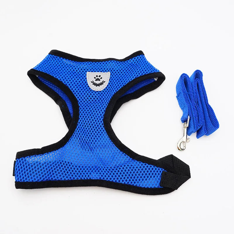 Breathable Mesh Pet Harness & Leash Set for Small Dogs and Cats