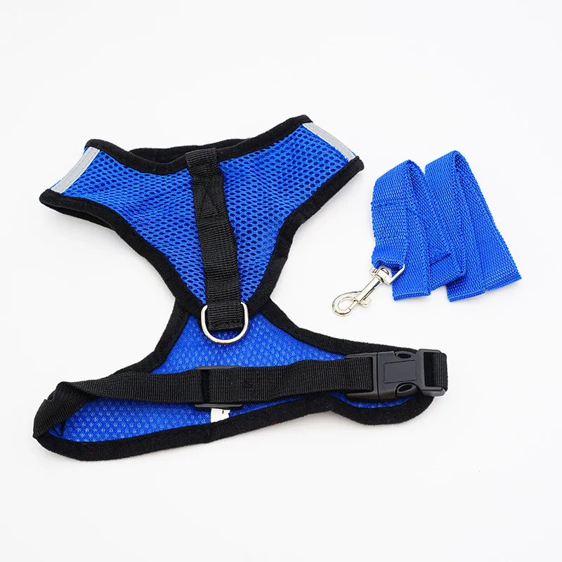 Breathable Mesh Pet Harness & Leash Set for Small Dogs and Cats