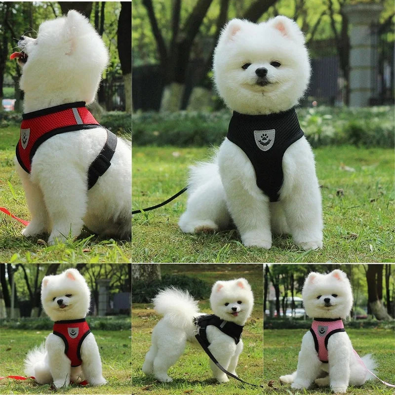 Breathable Mesh Pet Harness & Leash Set for Small Dogs and Cats